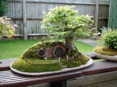 38 Extraordinary Fairy Garden Ideas