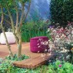 Amazing Colors in Landscaping