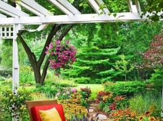 Amazing Colors in Landscaping
