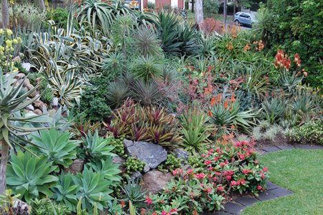 Amazing Colors in Landscaping