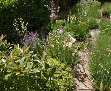 Amazing Colors in Landscaping