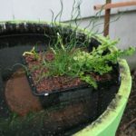 DIY Container Fish Pond