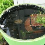 DIY Container Fish Pond