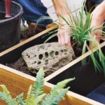 DIY Garden and Deck-Top Pond In One