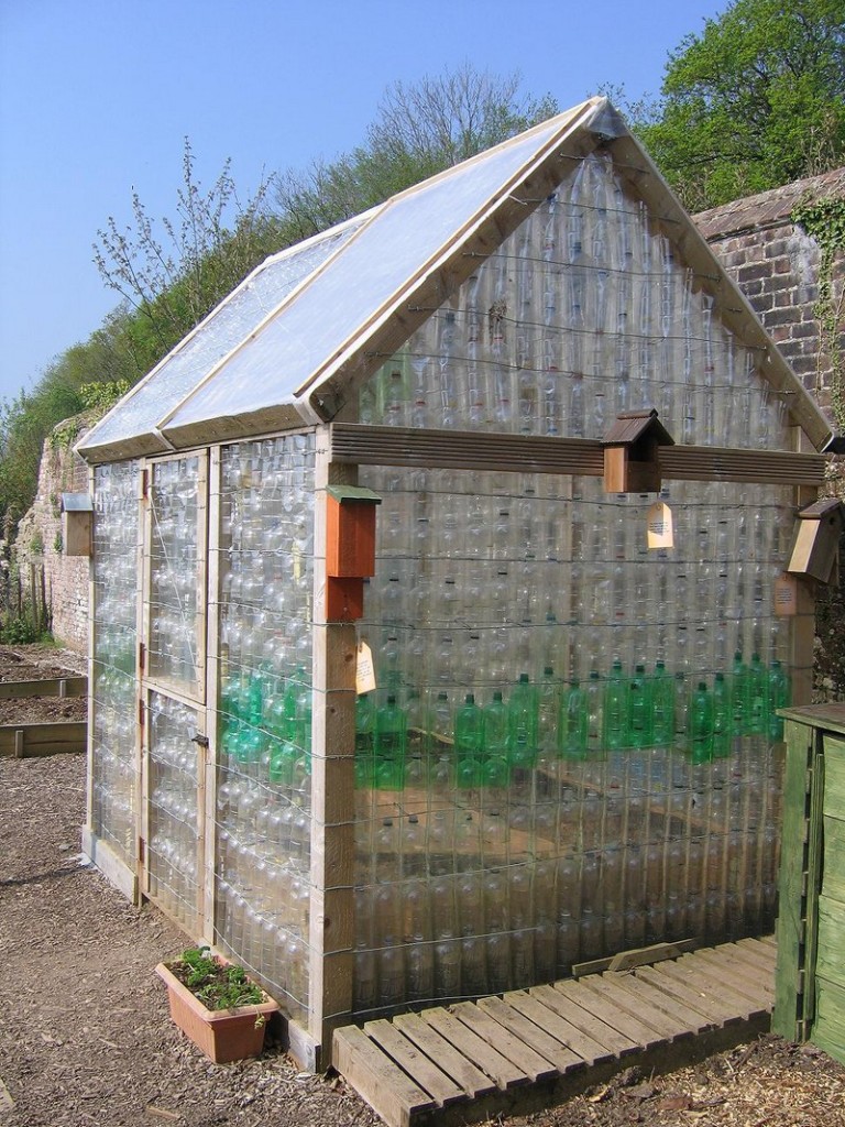 Lovely Ideas to Recycle Plastic Bottles