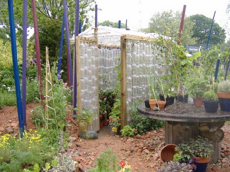 Lovely Ideas to Recycle Plastic Bottles