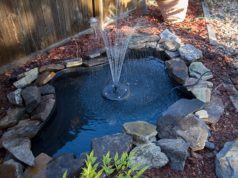 The 7-Hour Pond