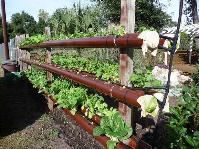 12 Amazing PVC Pipe Planters To Liven Up Your Garden