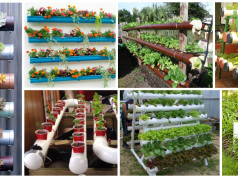 12 Amazing PVC Pipe Planters To Liven Up Your Garden