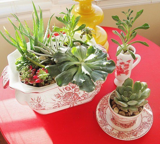 24 Cheap Planter Ideas for Amazing Succulent Garden