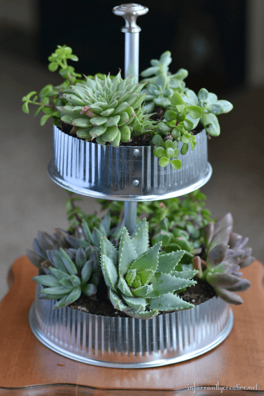 24 Cheap Planter Ideas for Amazing Succulent Garden