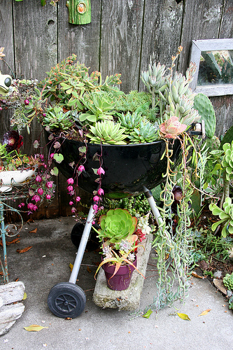 24 Cheap Planter Ideas for Amazing Succulent Garden