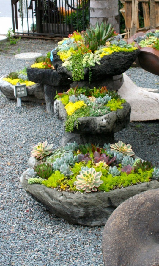 24 Cheap Planter Ideas for Amazing Succulent Garden