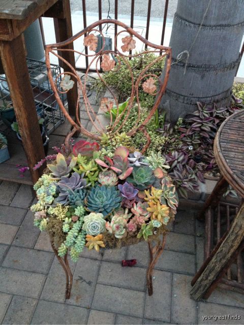 24 Cheap Planter Ideas for Amazing Succulent Garden