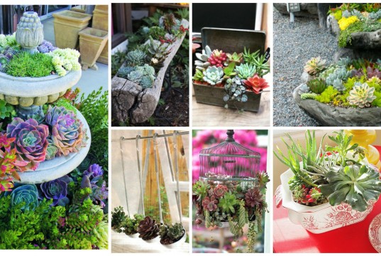 24 Cheap Planter Ideas for Amazing Succulent Garden