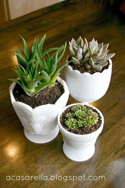 24 Cheap Planter Ideas for Amazing Succulent Garden