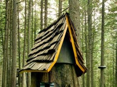 Awesome DIY Stump Ideas to Enhance Your Yard