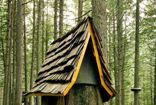 Awesome DIY Stump Ideas to Enhance Your Yard
