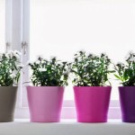 12 Flower Pots In Different Colors For Your Balcony