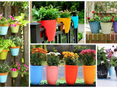 12 Flower Pots In Different Colors For Your Balcony