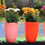 12 Flower Pots In Different Colors For Your Balcony