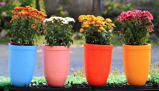 12 Flower Pots In Different Colors For Your Balcony