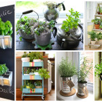 15 Amazing Ideas For Indoor Herb Garden