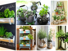 15 Amazing Ideas For Indoor Herb Garden