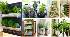 15 Amazing Ideas For Indoor Herb Garden