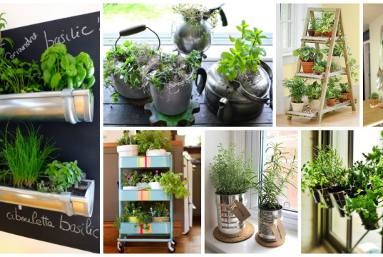 15 Amazing Ideas For Indoor Herb Garden