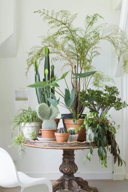 17 Indoor Gardens That Will Blow Your Mind