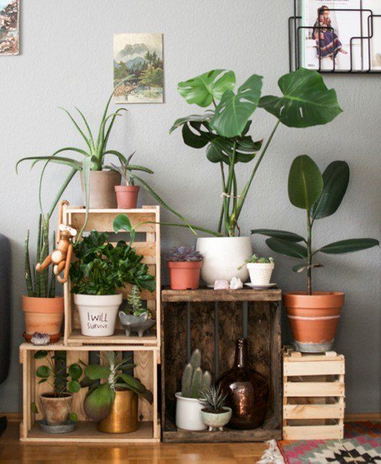 17 Indoor Gardens That Will Blow Your Mind