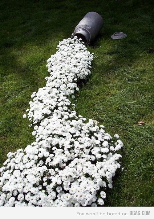 20 Inspiring Flower Planters that will Bring Magic into Your Garden