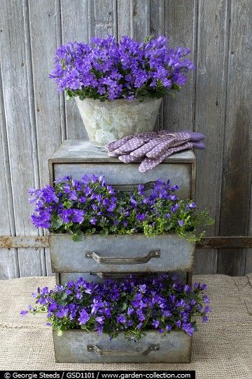 20 Inspiring Flower Planters that will Bring Magic into Your Garden 