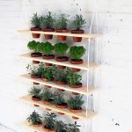 Eye-catching hanging herb garden