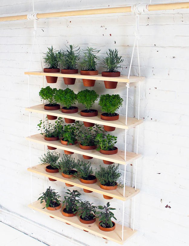 Eye-catching hanging herb garden