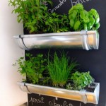 Gutter herb garden