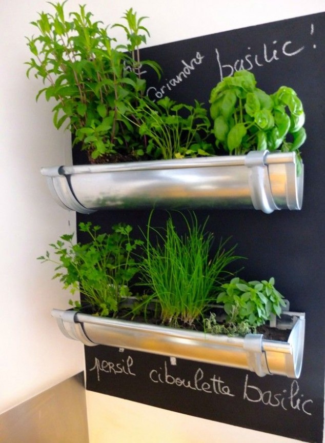 Gutter herb garden