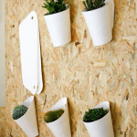 Hanging herbs