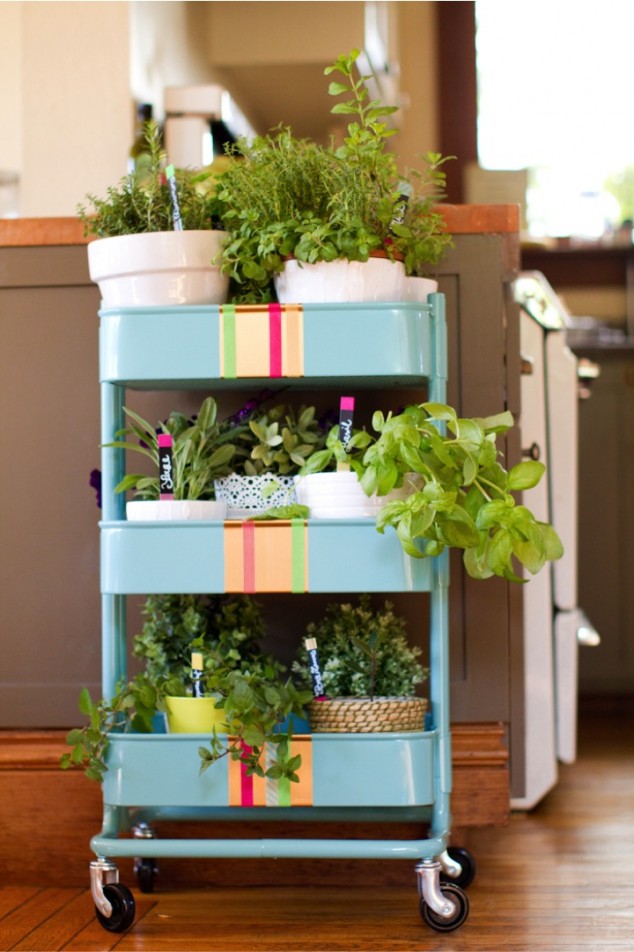 Herb garden in rolling kitchen cart