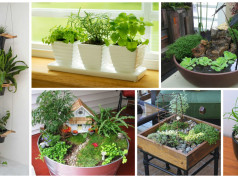 Make A Perfect Home Decor With These 15 Extraordinary Indoor Gardens
