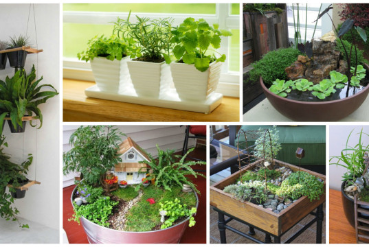 Make A Perfect Home Decor With These 15 Extraordinary Indoor Gardens