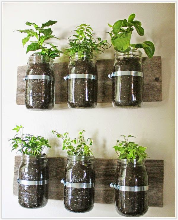 Make a herb wall using jars