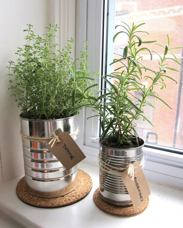 Plant herbs in old cans