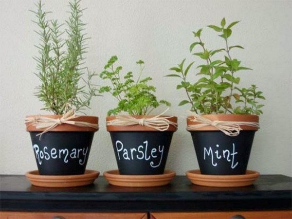 Pot herb garden