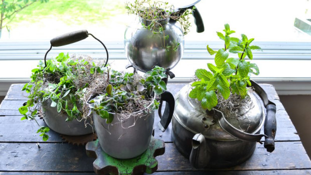 Recycle the old teapots