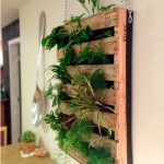 Vertical herb garden from reused pallet