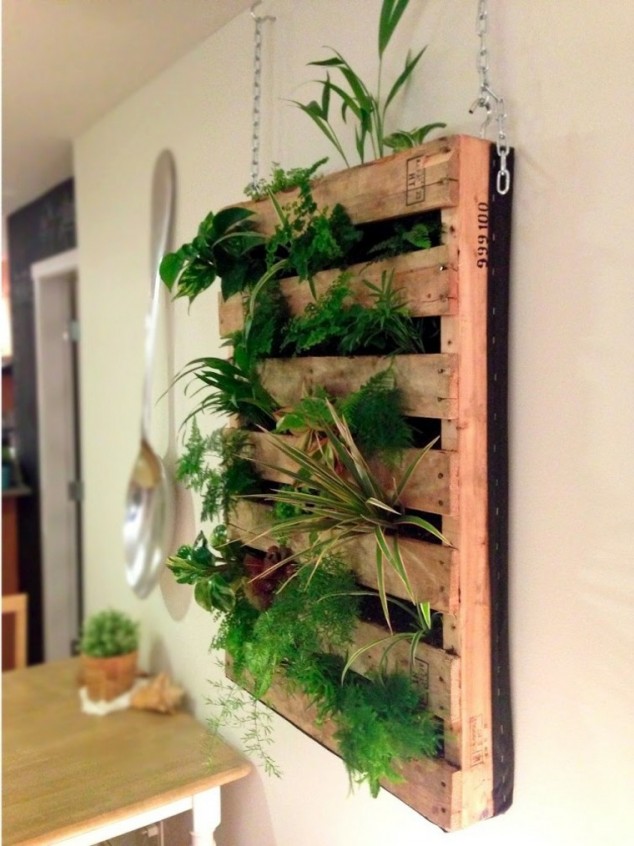 Vertical herb garden from reused pallet