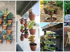 12 Creative DIY Gardens That Will Amaze You