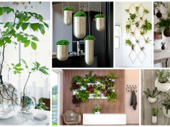 14 Fresh Mini Indoor Gardens That Will Surprise You